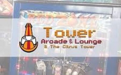Lake County Record Show at Tower Arcade & Lounge 2/28/21 from 10am-4pm